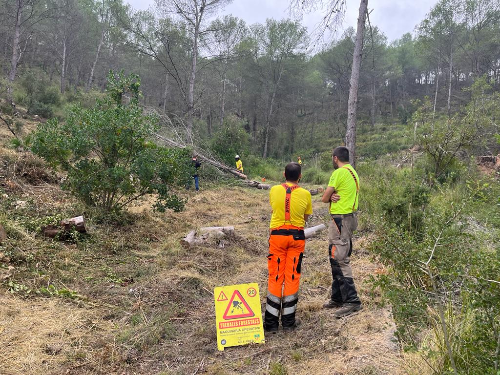 L Adf De Sant Pere De Ribes Comencen Les Tasques De Neteja Del Bosc Per