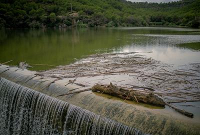 El pantà de Foix. Amadeu Torné Güell