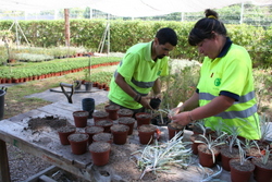 Ajt Vilanova i la Geltrú. El centre especial de treball Tegar dóna plantes a la ciutat 