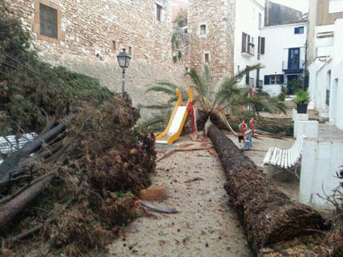 A l'espera de la valoració definitiva, aquestes són algunes de les afectacions del temporal de llevant. Ajuntament de Sitges