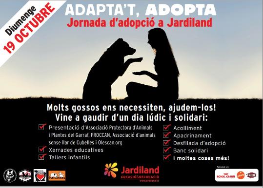 3ª Jornada D Adopcio De Gossos A Jardiland