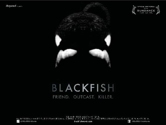 EIX. Blackfish 