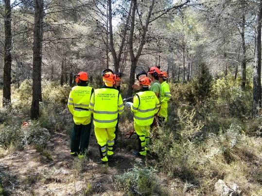 Diputació Tarragona. Cinc treballadors d'un pla ocupacional fan la neteja del bosc al Baix Penedès