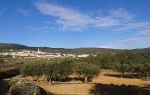 Una nova línia elèctrica amenaça el Baix Penedès