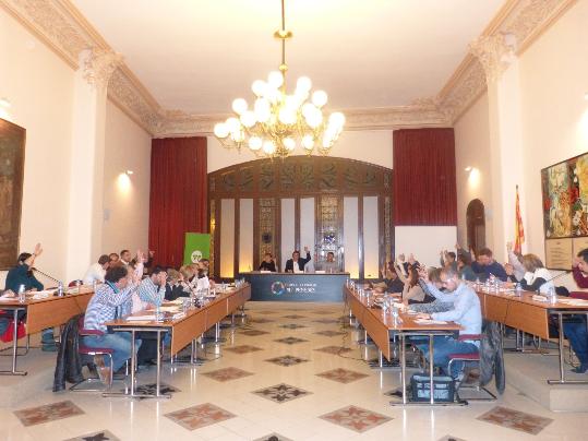 Ple del Consell Comarcal de l'Alt Penedès. CC Alt Penedès