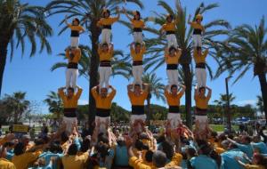 Actuació prèvia de Sant Jordi dels Bordegassos al passeig del Carme. Bordegassos