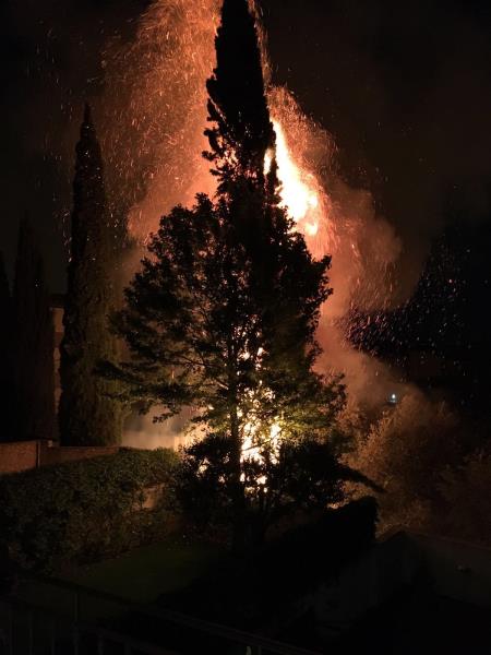 Alarma a Sant Sadurní d'Anoia per l'augment dels actes vandàlics al municipi. Ajt Sant Sadurní d'Anoia