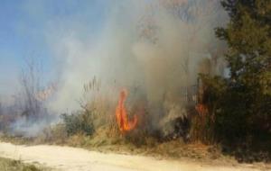 Extingit un petit incendi prop de les Caves Montesquius, a Sant Sadurní. Ajt Sant Sadurní d'Anoia