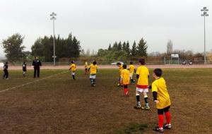 Trobada d'escoles de rugbi a Cornellà