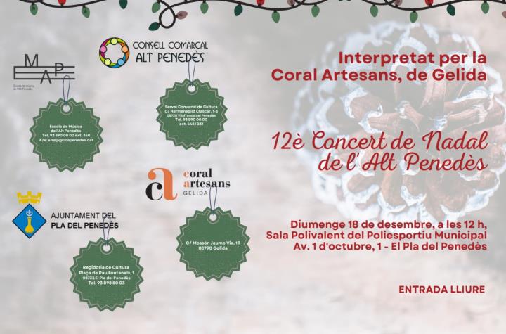 Concert de Nadal de l'Alt Penedès