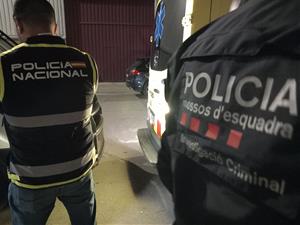 L'operatiu contra un grup especialitzat en robatoris amb força acaba amb una trentena de detinguts. ACN