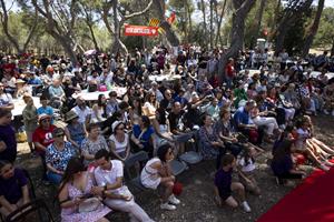 26a Festa de la Rosa de Sant Pere de Ribes