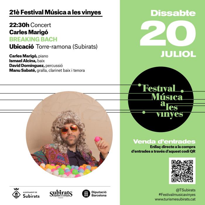 21è Festival Música a les vinyes: Carles Marigó