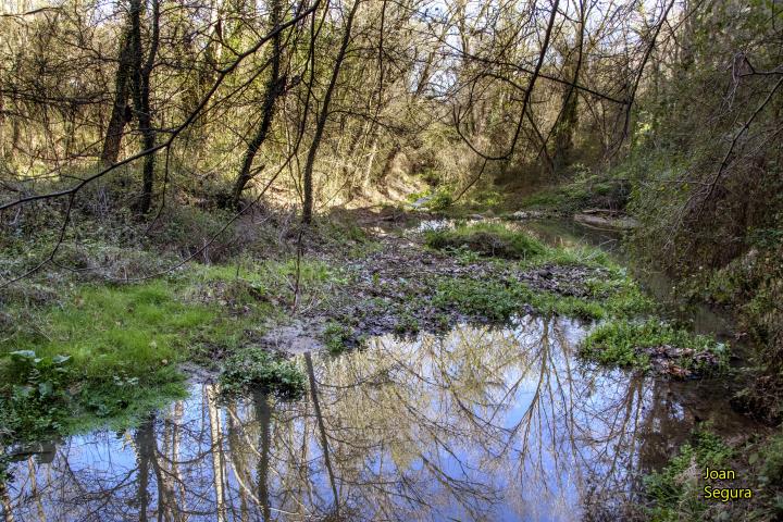 Anem a caminar pel territori