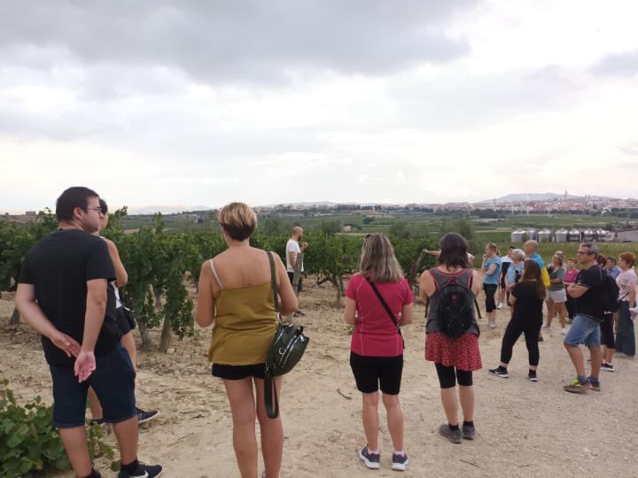 Itinerari guiat entre vinyes a Sant Pau