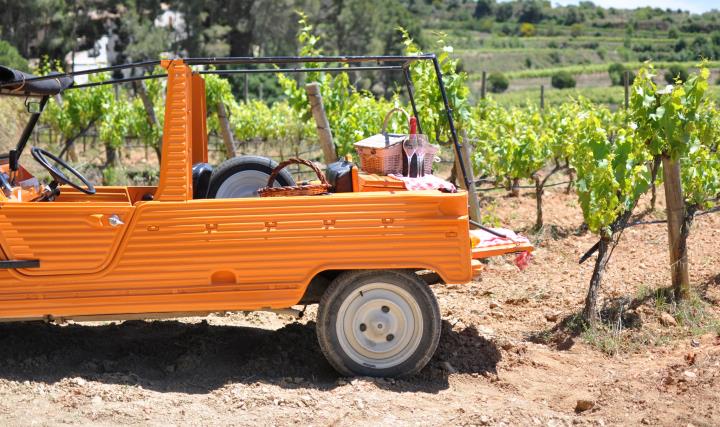 Safari gastronòmic per les vinyes de Muntanyes d’Ordal