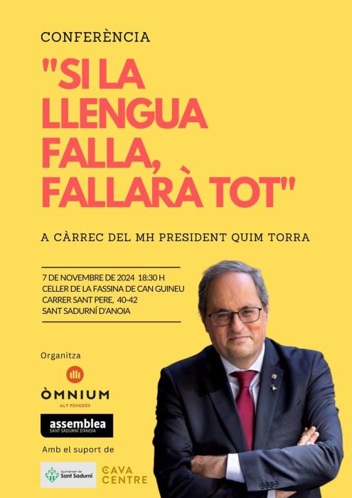 Si la llengua falla, fallarà tot