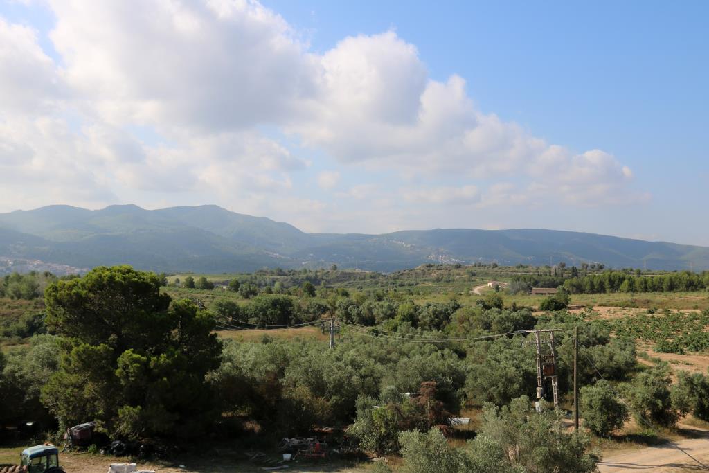 Ametller Origen preveu superar els darrers tràmits de l’Agroparc aquest juliol per començar les obres l’últim trimestre. ACN