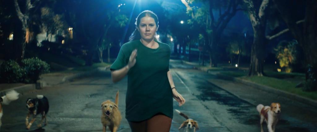 ‘Canina (Nightbitch)’ amb Amy Adams . EIX