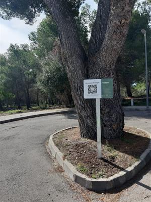 Canyelles senyalitza els arbres d'interès local