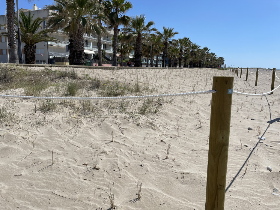 Cubelles prova una tècnica innovadora per a recuperar dunes a la platja de la Mota. Ajuntament de Cubelles