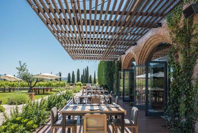 Descobrint Família Torres, una experiència única al cor del Penedès. Família Torres