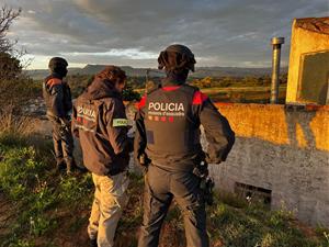 Dispositiu dels Mossos per desarticular un grup especialitzat en robatoris amb força i cultiu i tràfic de marihuana. Mossos d'Esquadra