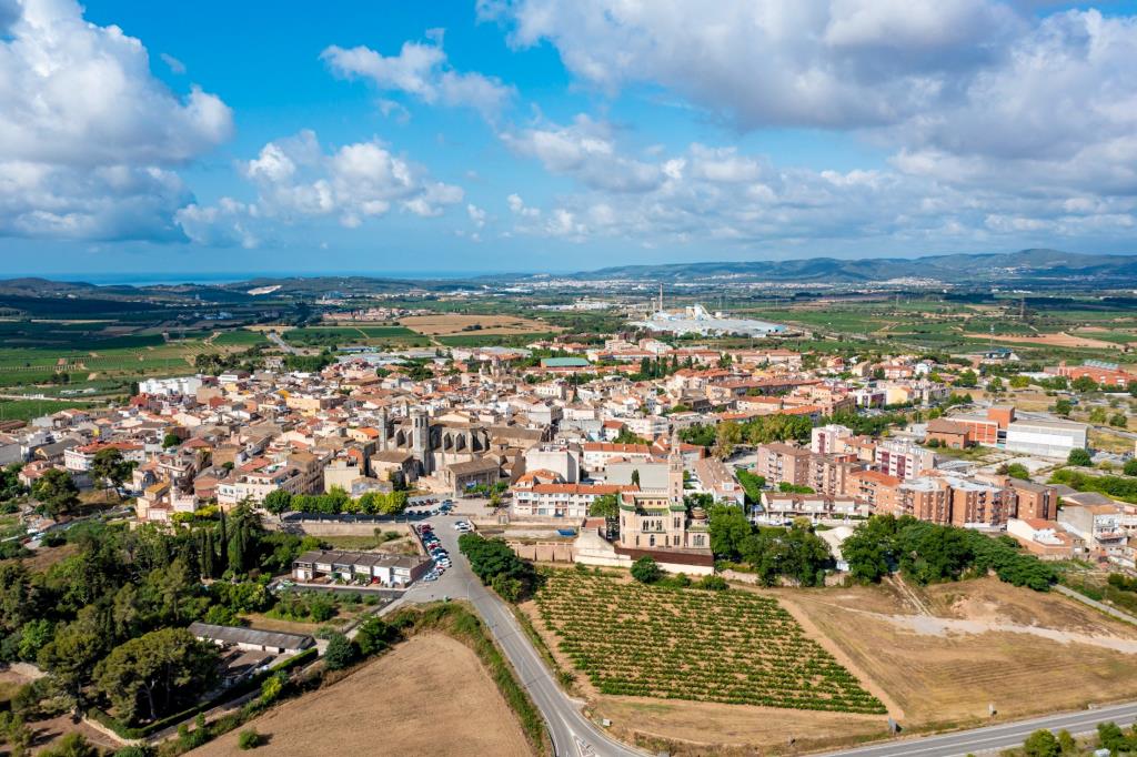 El Baix Penedès presenta més d'un centenar d'al·legacions a l'avantprojecte del Pla Territorial Parcial del Penedès. ACN