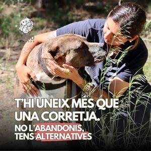 El CAAD Penedès llança una nova campanya contra l'abandonament d'animals. EIX