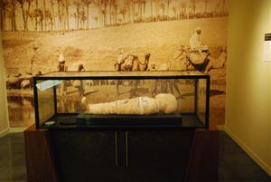 El Museu Balaguer reobre les seves portes aquest dissabte després de dos anys d'obres