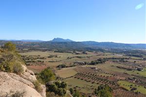 El Parc Agrari de la Conca d’Òdena crea un banc de terres per recuperar l’agricultura local. Conca d'Òdena