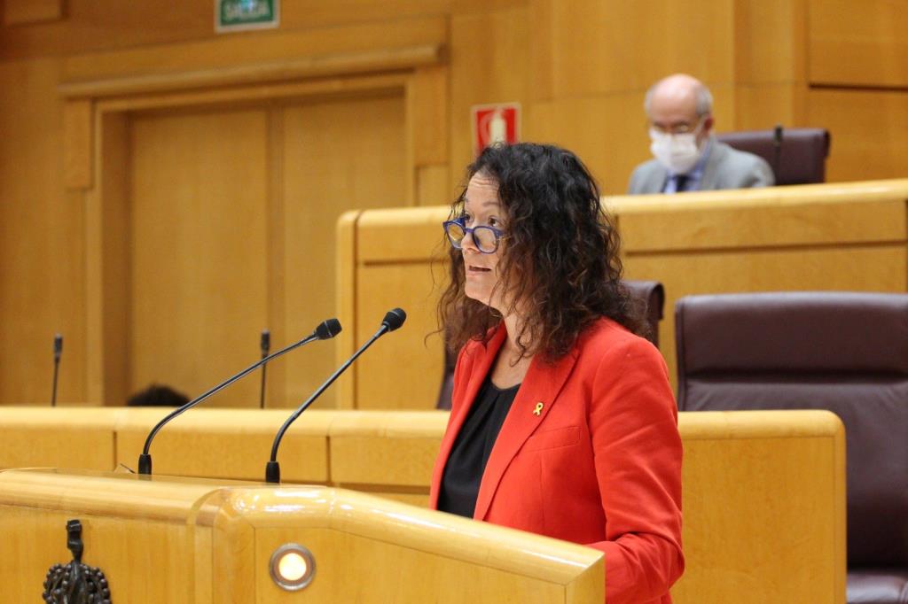 El Senat reclama millores a la gestió del tall de tren entre Tarragona i Sant Vicenç de Calders. ACN