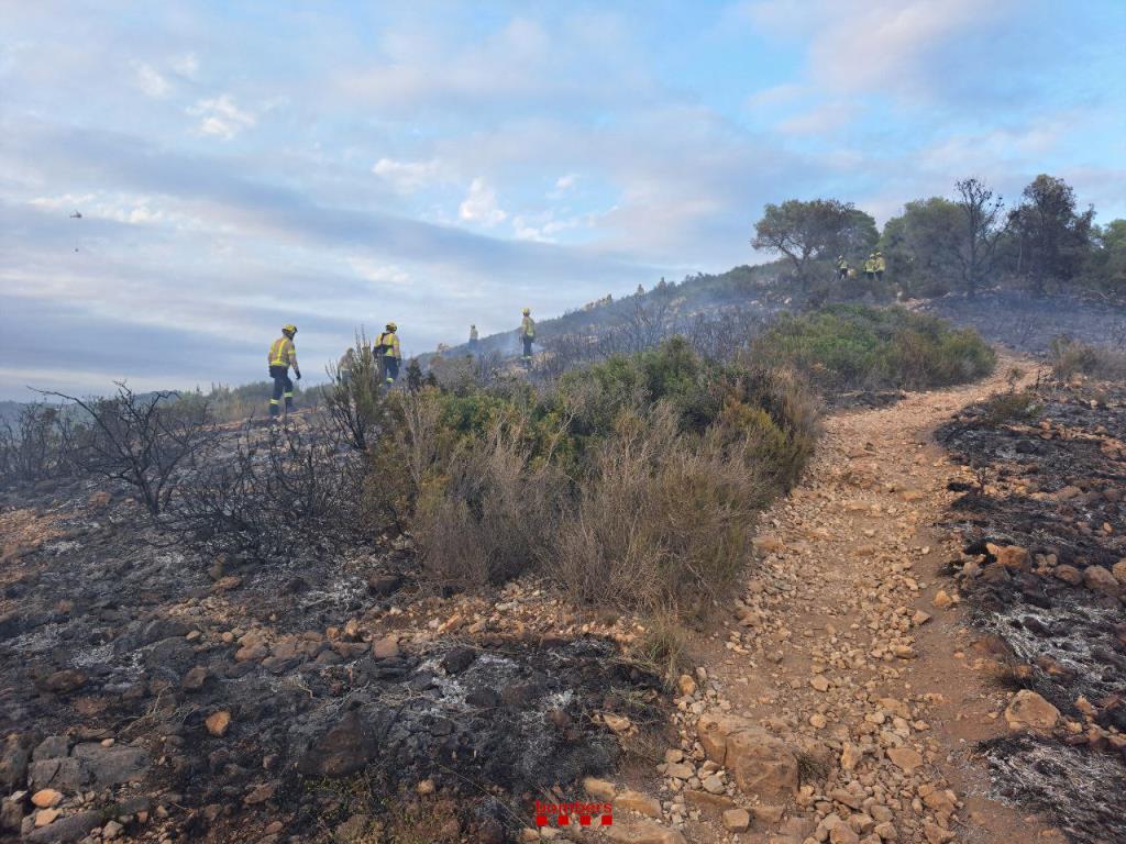 Els bombers estabilitzen un incendi forestal a Calafell. Bombers