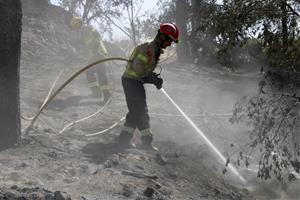 Els incendis forestals cremen 495 hectàrees entre juny i agost, la xifra més baixa des del 2020. ACN