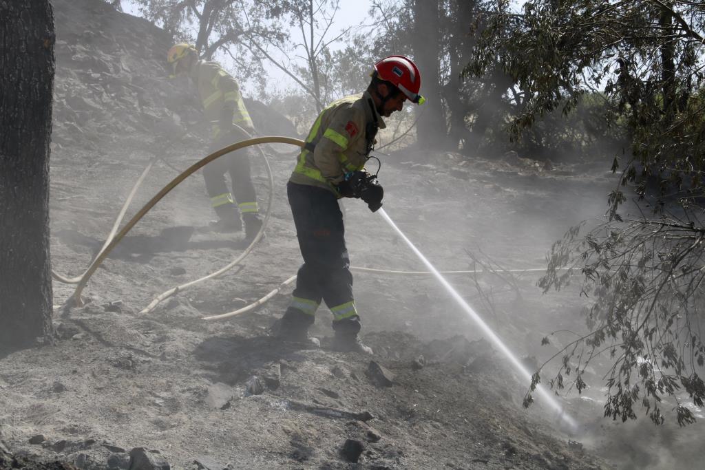 Els incendis forestals cremen 495 hectàrees entre juny i agost, la xifra més baixa des del 2020. ACN