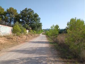 ​​​​​​​Finalitzen les actuacions de manteniment en diversos camins rurals de Vilafranca. Ajuntament de Vilafranca