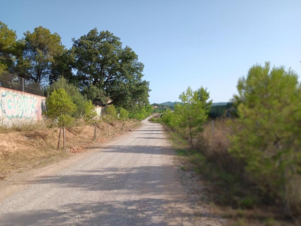 ​​​​​​​Finalitzen les actuacions de manteniment en diversos camins rurals de Vilafranca. Ajuntament de Vilafranca