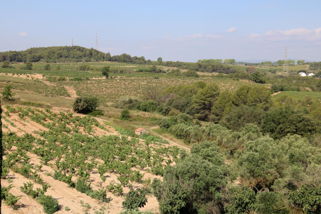 Gelida aprova dos dels últims tràmits urbanístics per a la construcció de l’Agroparc d’Ametller . ACN