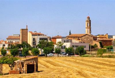 La Bisbal del Penedès. Eix