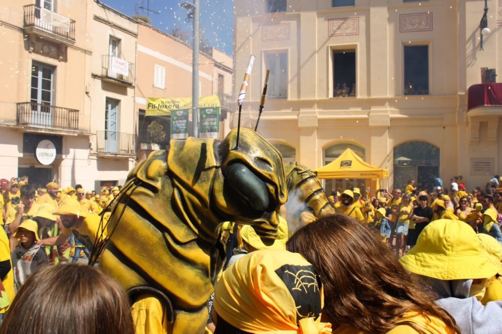 La Festa de la Fil·loxera crea l’Escampada Juvenil per donar resposta a l’alta demanda de joves fil·loxeraires. Festa de la Fil·loxera