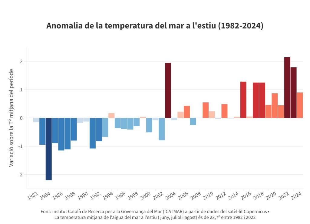 La temperatura del mar cau a l’estiu respecte al 2023 però continua un grau per sobre de la mitjana dels últims 40 anys. ACN