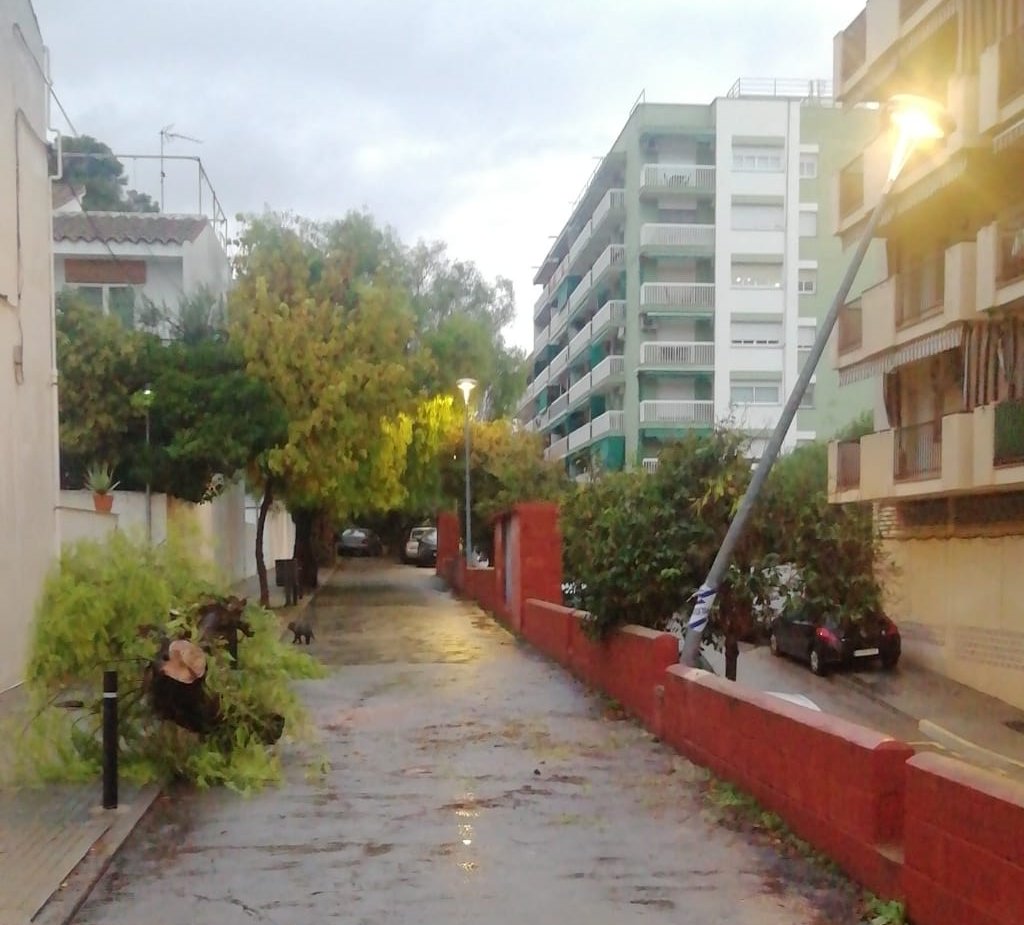 L'aiguat ha provocat algunes incidències a Vilanova i la Geltrú com arbres caiguts i talls de llum . Ajuntament de Vilanova