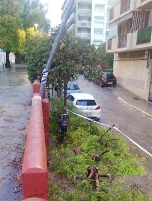 L'aiguat ha provocat algunes incidències a Vilanova i la Geltrú com arbres caiguts i talls de llum 