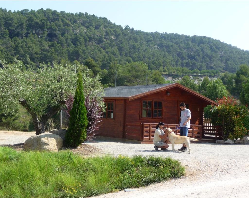 L’Ajuntament de Castellolí facilita als veïns un servei gratuït de residència canina durant la revetlla de Sant Joan. Ajuntament de Castellolí