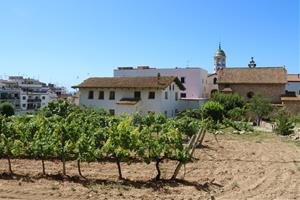 L’Hospital de Sitges compleix 700 anys: d’asil medieval a fundació geriàtrica que salvaguarda la malvasia local