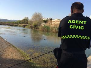 Peixos morts al Foix per la baixada de salinitat: l'Ajuntament retira les restes i aclareix la causa. Ajuntament de Cubelles