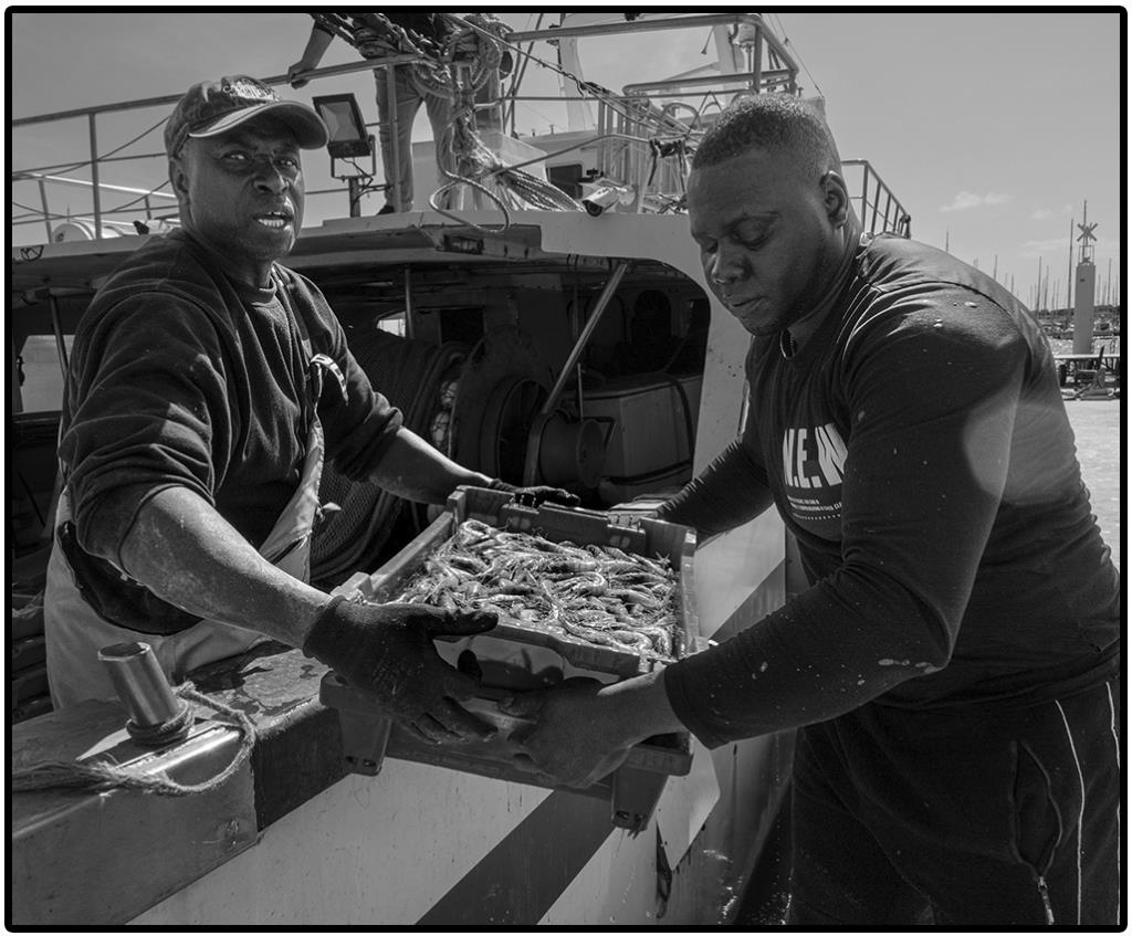 Pescadors del Senegal a Vilanova. Amadeu Torné Güell