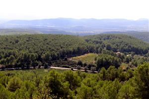 Polèmica a Font-rubí pel desenvolupament urbanístic d’una àrea boscosa del nucli històric