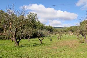 Rehabiliten una masia en ruïnes a l’Alt Penedès per convertir-la en residència artística