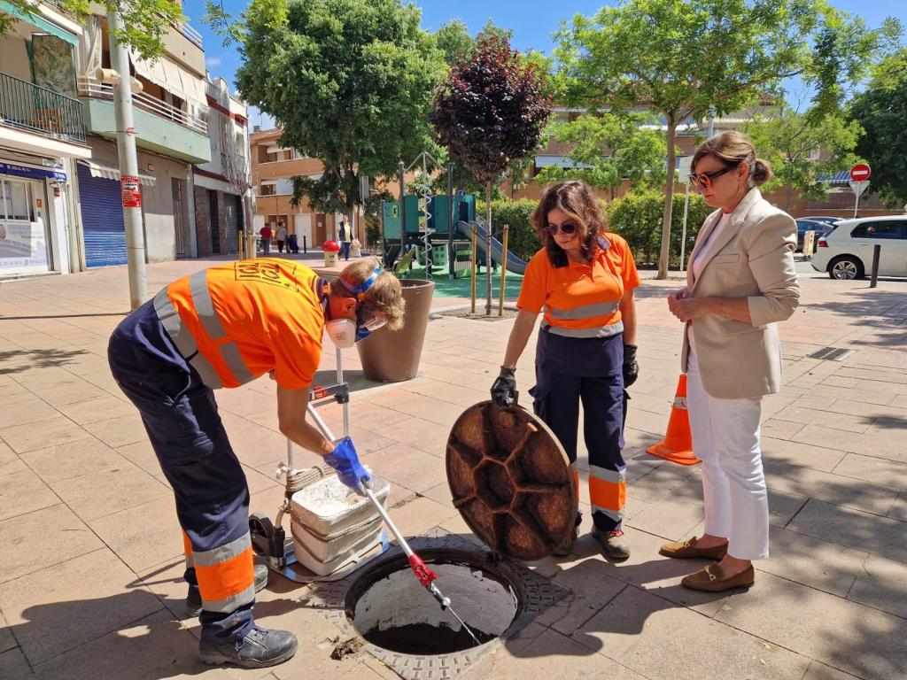 Sant Pere de Ribes s'arma contra les paneroles amb un pla de xoc preventiu. Ajt Sant Pere de Ribes